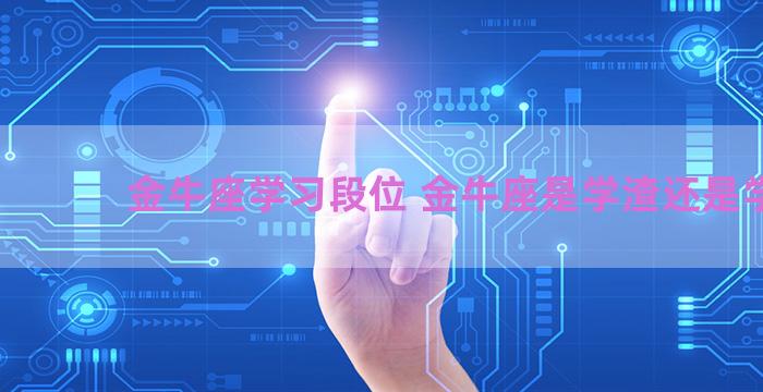 金牛座学习段位 金牛座是学渣还是学霸